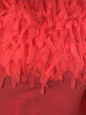 Kaeylyn Max II Off-Shoulder Fringe Detail Sheer Top (Coral)